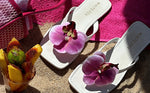 Shop Shoes